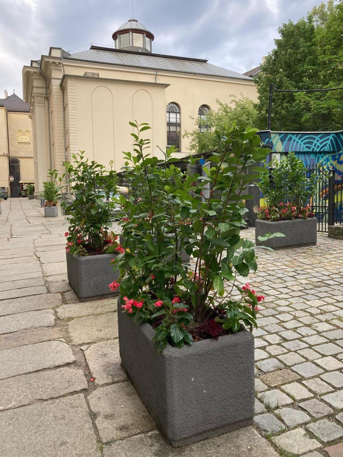 Apartment Antoniego Old Town *